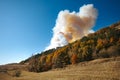 Forest fire, Nature disaster Royalty Free Stock Photo