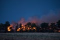 Forest fire at night Royalty Free Stock Photo