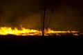 Forest fire at night Royalty Free Stock Photo