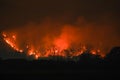 Forest Fire at Night.Wildfire burning forest trees in the mountain.Wildfire caused by humans