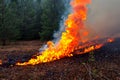 Forest fire. Forest fire in progress. Wildfire. Large flames of forest fire. Incendio forestal. Canada Royalty Free Stock Photo