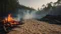 Fiery Inferno in a Desolate Forest: Burning Logs and Smoke-Filled Air Royalty Free Stock Photo