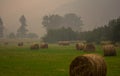 Forest fire smok on field in Kamloops in BC