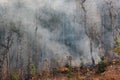 Forest fire smoke in northern Thailand Royalty Free Stock Photo