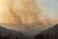 Forest fire smoke in northern Thailand Royalty Free Stock Photo
