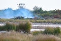 Forest fire, triggered by the drought. Royalty Free Stock Photo