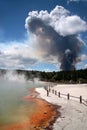 Forest fire in the Wai-o-Tapu geothermal area Royalty Free Stock Photo