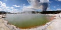 Forest fire in the Wai-o-Tapu geothermal area Royalty Free Stock Photo