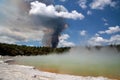 Forest fire in the Wai-o-Tapu geothermal area Royalty Free Stock Photo