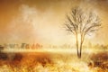 Forest Fire,wildfire, burning forest in the smoke on the city background Royalty Free Stock Photo