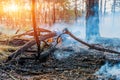 Forest Fire, Wildfire burning tree in red and orange color. Royalty Free Stock Photo