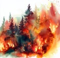 Forest Fire Wildfire