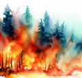 Forest Fire Wildfire