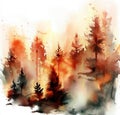 Forest Fire Wildfire Royalty Free Stock Photo