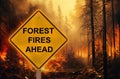 Forest Fires Ahead Caution Sign - Fire Background