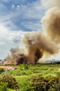 Forest fires in the city on a hot oversupply. Firefighter helped hasten to prevent fire spread to the village.