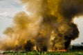 Forest fires in the city on a hot oversupply. Firefighter helped hasten to prevent fire spread to the village. Royalty Free Stock Photo