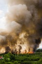 Forest fires in the city on a hot oversupply. Firefighter helped hasten to prevent fire spread to the village.