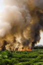 Forest fires in the city on a hot oversupply. Firefighter helped hasten to prevent fire spread to the village.