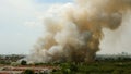 Forest fires in the city on a hot oversupply. Firefighter helped hasten to prevent fire spread to the village.