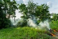 Forest fires,Grass fire,Forest fires and wind dry completely destroy the forest and steppe during a severe drought. Royalty Free Stock Photo