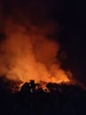 forest fires that occur due to the dry season