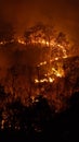 Forest fires release carbon dioxide and other greenhouse gasses, Carbon emissions come from Royalty Free Stock Photo