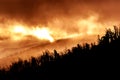 forest in flames, land burning, environmental disaster Royalty Free Stock Photo