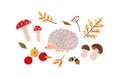 Forest flora and fauna hand drawn vector illustration. Autumn season symbols watercolor painting. Hedgehog, foliage