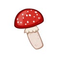 forest fly agaric cartoon vector illustration Royalty Free Stock Photo