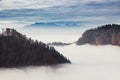 Forest in the fog, mountains on the horizon Royalty Free Stock Photo