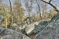 Forest of Fontainebleau, France