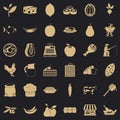 Forest food icons set, simple style Royalty Free Stock Photo