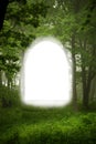 Forest frame Royalty Free Stock Photo