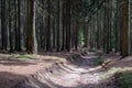 The Forest of Friedrichroda in Thuringia with sun Royalty Free Stock Photo