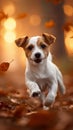 Forest frolic Jack Russell terrier puppy in spirited autumn play