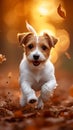 Forest frolic Jack Russell terrier puppy in spirited autumn play