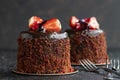 Forest fruit cake on a dark background. Close up cake Royalty Free Stock Photo