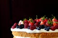 Forest fruits cake