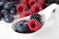 Forest fruits on the spoon