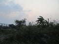 Forest gardens and rice fields on the outskirts of residential residents Royalty Free Stock Photo