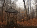 Forest gazebo Royalty Free Stock Photo