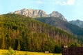 Forest and giewont