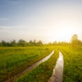 forest glade with ground road at the sunset Royalty Free Stock Photo