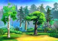 Forest glade on a sunny day illustration Royalty Free Stock Photo