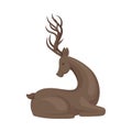 Forest Graceful Deer with Antlers in Sitting Pose Vector Illustration. Wildlife of Forest Mammals Concept
