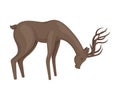 Forest Graceful Deer with Antlers in Standing Pose Bending to the Ground Vector Illustration. Wildlife of Forest Mammals