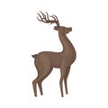 Forest Graceful Deer with Antlers in Standing Pose Vector Illustration. Wildlife of Forest Mammals Concept