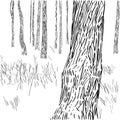 Forest graphic composition Royalty Free Stock Photo