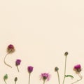 Forest grass and flowers thorn thistle or burdock as stylish botanical background pastel colored